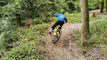 Ein Kind fährt im Wald eine kurvige Strecke mit dem Fahrrad hinunter.
