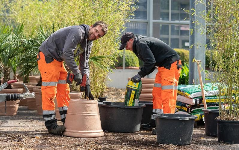 Zwei Männer arbeiten im Gewächshaus