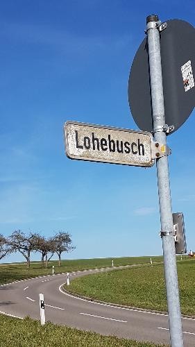 Wegeweiser Abzweig Lohebusch