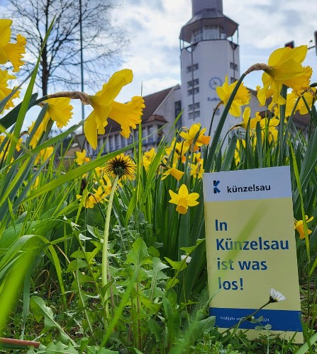eine Broschüre mit gelber Titelseite steht zwischen Osterglocken im Gras, im Hintergrund das neue Rathaus mit dem Turm