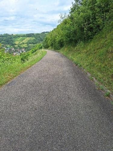 Blick auf eine schmale Straße mit üppig bewachsenen Grünstreifen rechts und links. Im Hintergrund ist der Ort Belsenberg weit entfernt zu erkennen