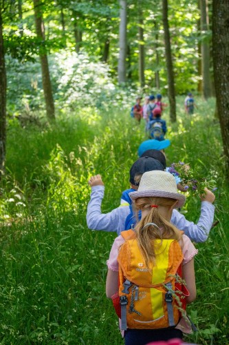 Im Grünen Wald laufen Kinder einen Pfad entlang.