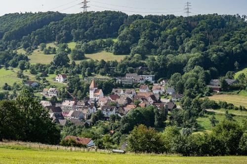 Häuser umgeben von Wald und Wiese.