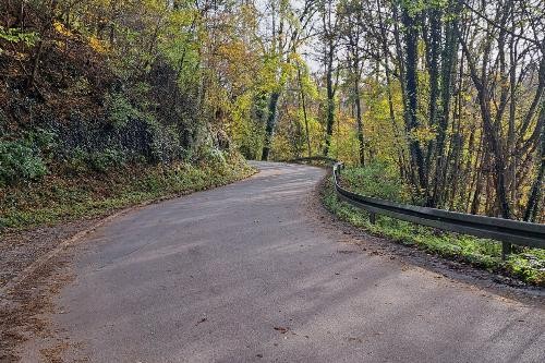 Gemeindeverbindungsstraße im Wald