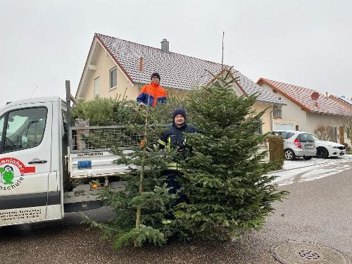 Christbäume werden von zwei Leuten der Jugendfeuerwehr auf ein Auto geladen.