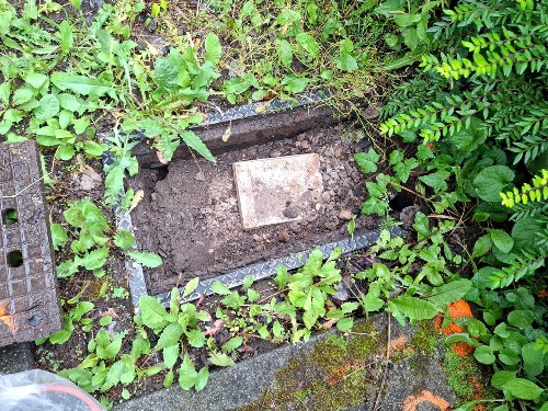 Ein Verdreckter und alter Schacht. Außenrum Grünes gestrüpp.