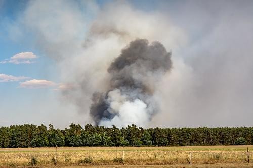 Zu sehen ist ein Wald am Rand eines Feldes. Dahinter steigen große schwarze und weiße Rauchwolken in den Himmel auf, verursacht durch einen Waldbrand. Der Himmel ist teilweise blau, wird aber stark vom Rauch verdeckt. Die Szene verdeutlicht die akute Gefahr von Waldbränden durch Hitze und Trockenheit.