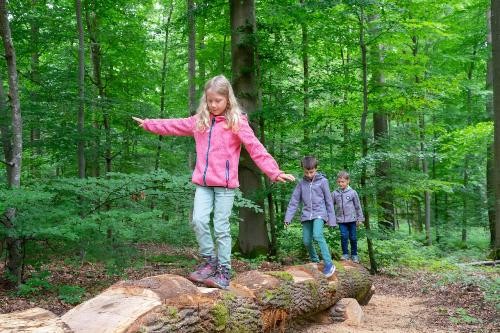 Drei Kinder balancieren auf einem Holzstamm im Wald.