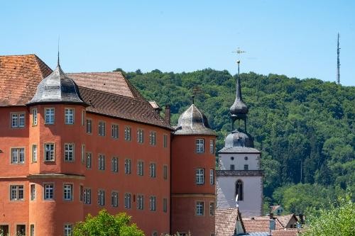 Schloss Bartenau und Kirchtrum der Johanneskirche