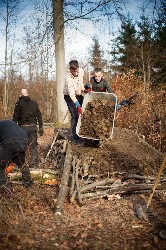 im Wald arbeiten vier junge Männer mit Schubkarre