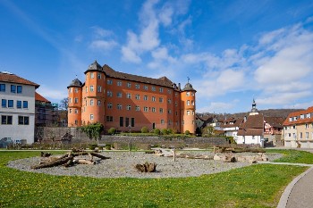 Schloss Bartenau mit Natur nad dran-Fläche im Vordergrund