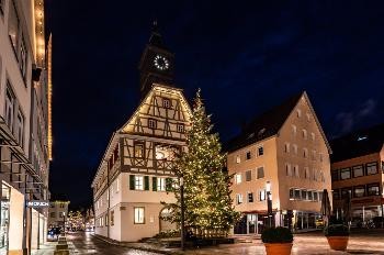 Altes Rathaus mit Weihnachtsbaum vor der Türe