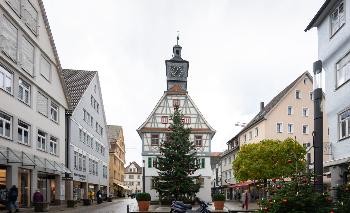 Blick auf das alte Rathaus mit einem großen Christbaum davor