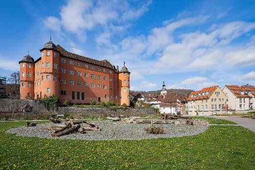 Das Schloss Bartenau und die "Natur nah dran"-Flächen in Künzelsau im Frühling.
