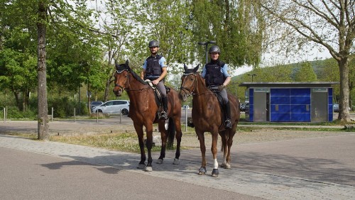 Zwei Männer der Reiterstaffel aus Mannheim auf Pferden.