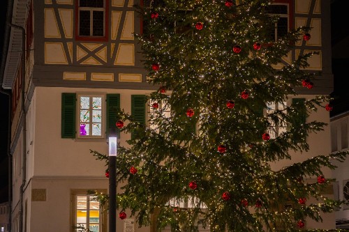 Weihnachtsbaum vor dem Alten Rathaus mit erleuchteten Fenstern. 