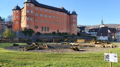 Schloss Bartenau, davor neue, insektenfreundliche Bepflanzung.