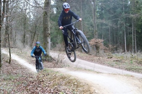 Zwei Mountainbiker fahren im Wald.