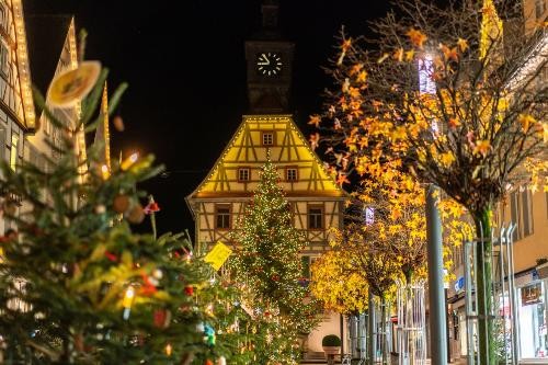 Weihnachtsbäume in der Künzelsauer Innenstadt vor dem Alten Rathaus.