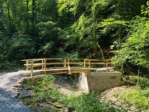 Holzbrücke über kleine Klinge im Wald