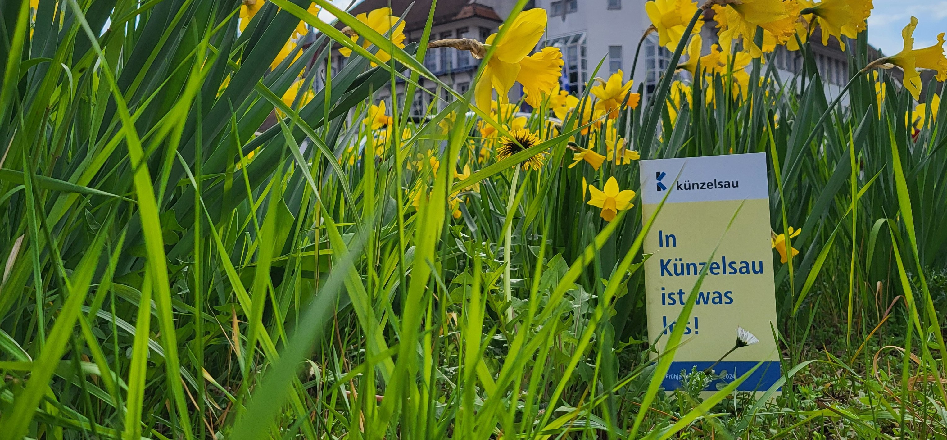 Wert-Wies´n 2019 